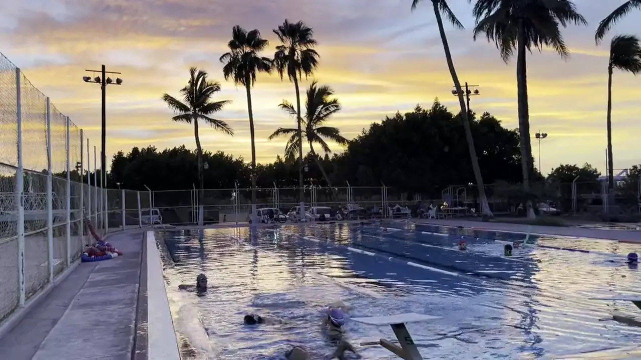 Alberca al atardecer con palmeras y nadadores entrenando
